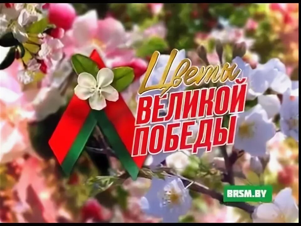 Цветы великой победы песня