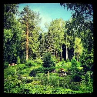 Ботанический сад со ран новосибирск
