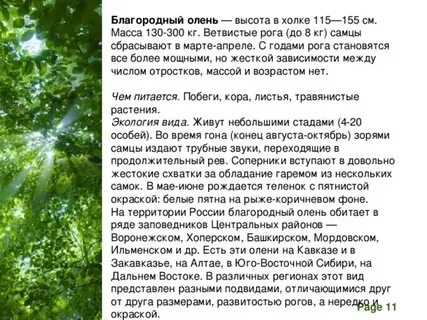 Благородный текст
