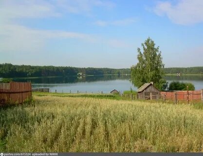 Белой рязанская область