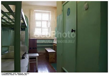 Предварительного заключения 6