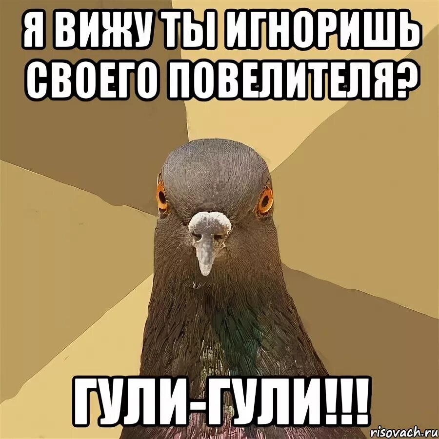 Гуль текст. Гуля имя. Токийский гуль канеки голубь. Голубь гуль. Имя гуля надпись.