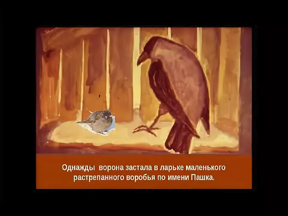 Паустовский большой театр растрепанный воробей. Растрепанный воробей. Иллюстрация к произведению паустовского растрепанный воробей 3 класс. Растрёпанный воробей паустовский план. Как описывается растрепанный воробей.