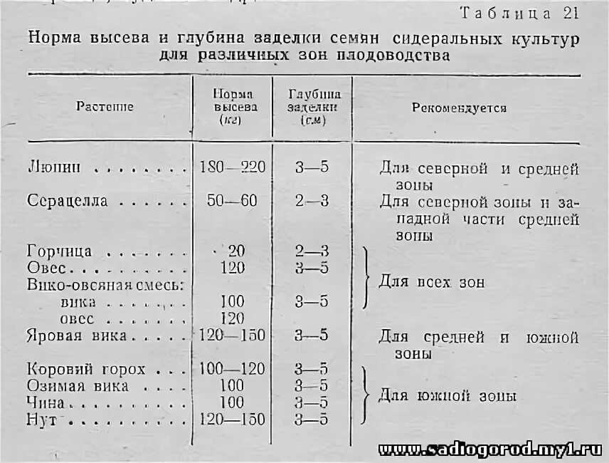 Норма овса на гектар