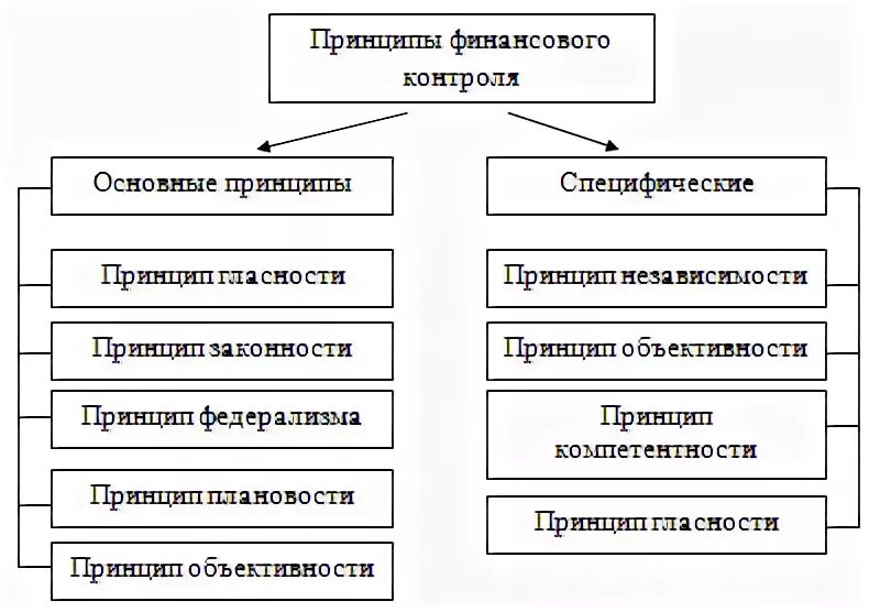 Принципы государственного и муниципального финансового контроля. Принципы осуществления финансового контроля. три принципа осуществления финансового контроля. принципы осуществления государственного финансового контроля. основополагающие принципы финансового контроля.