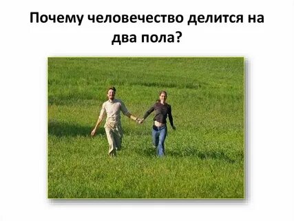 Жизнь человеческая делится на огромные промежутки времени