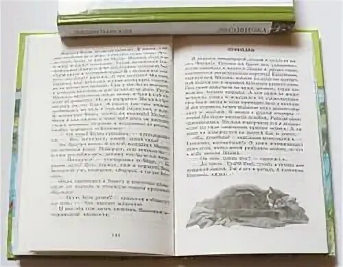 Книга белова о мальке какие еще рассказы. Придумать историю про мальку. Придумать про мальку. Рассказ про мальку. Рассказ Белова верный и малька.