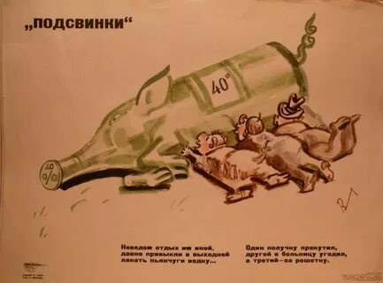 Развивайте свиноводство