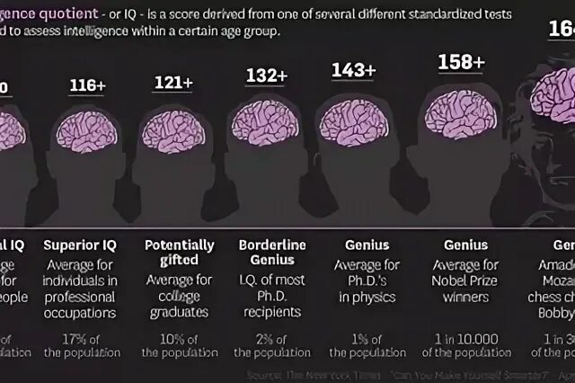 Самый высокий iq у человека. Среднее IQ. Средний показатель IQ. Шкала IQ. Средний показатель IQ В России.