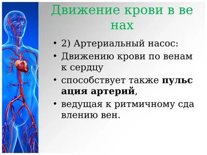 Сердечный способствовать