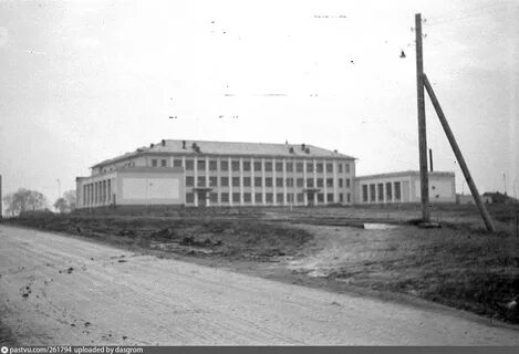 Старый сокол