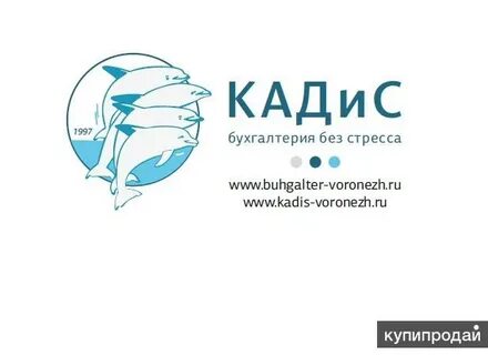 Аудит воронеж