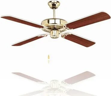 Fan special