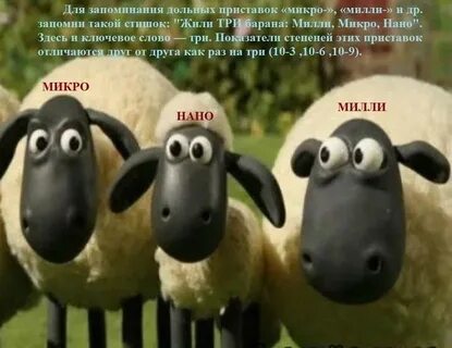 Барашек пришел