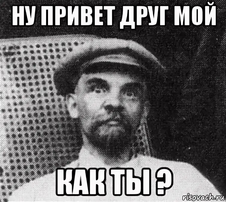 Ну привет мем. Привет как дела кот. Привет как дела. Привет) сегодня дождь и скверно, а мы не виделись, наверно, 100 лет. Привет ну как ты без меня скажи.