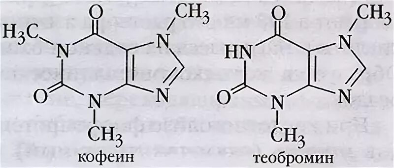 Кофеин и теобромин