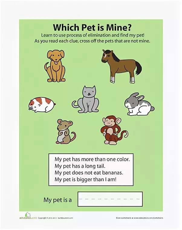 Find for my liking. My Pet шаблон. Pets задания для детей. Портфолио my Pet. Pets Worksheets.