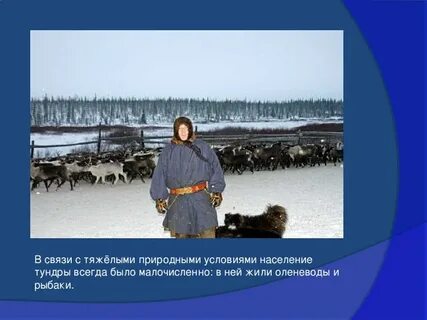 Взаимосвязи в тундре 4 класс