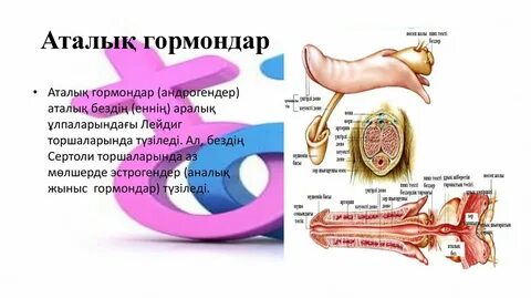 Гимнаст өзінің киска порносын жалайды