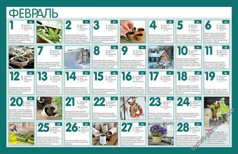 Посадочный календарь на 2017 года