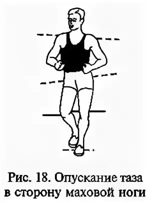 Спортивная ходьба схема. Движение ходьба тазом. Движение ходьба тазом. Движение таза при ходьбе. Техника спортивной ходьбы и бега в легкой атлетике.