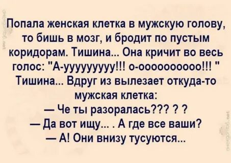Голова анекдот