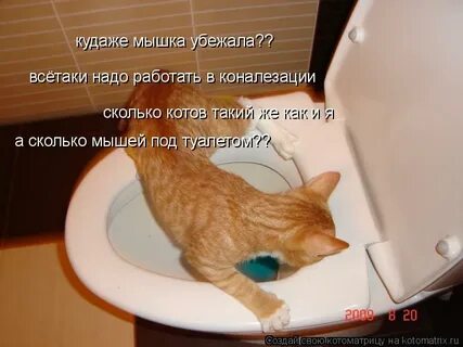 Залез пока