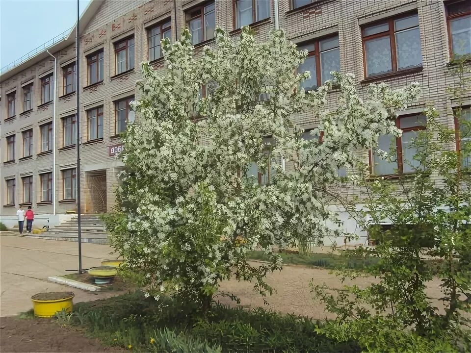 Июльское ижевск. Июльская сош выпуск 2010. Мбоу июльская сош. Июльская сош. Июльская сош воткинский.