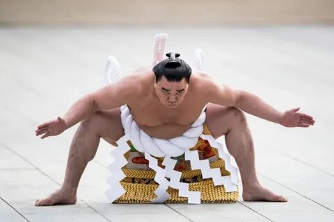 Сумоист кошка а