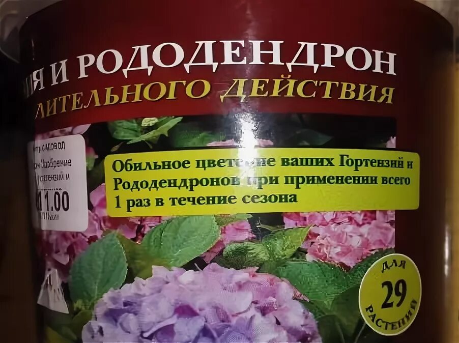 Чем подкормить рододендрон весной. Удобрение Pokon для гортензий. Удобрение для гортензии и рододендрона. Осмокот удобрение для гортензии. Удобрение для гортензий пролонгированного действия.