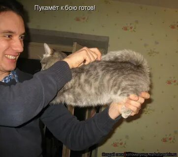 Песня готов к бою
