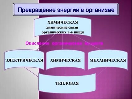 Какие превращения могут происходить в организме человека