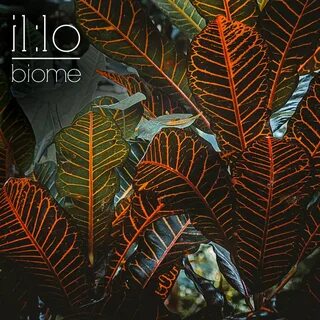 Biome music
