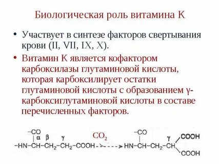 Роль витамина к в свертывании