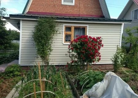 Снт в подольском районе