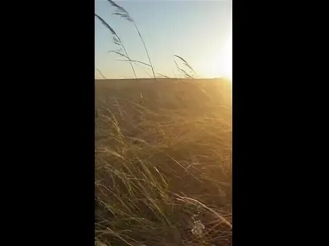 Пластинки. Калмыкия степь ковыль. Любовь в степи картина. Степные музыкальные инструменты. Мелодия степи.