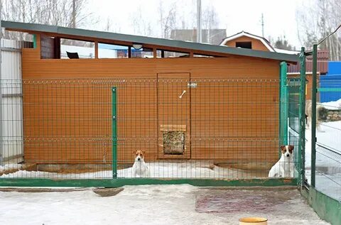 Передержка красноярск