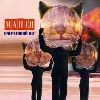 Культурный кот слушать
