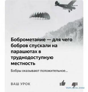 Саныч рассказ на дзен