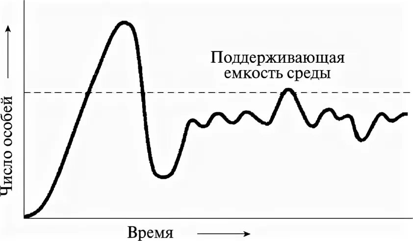 Какое значение популяции имеет емкость среды