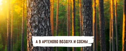 Артеково ульяновск