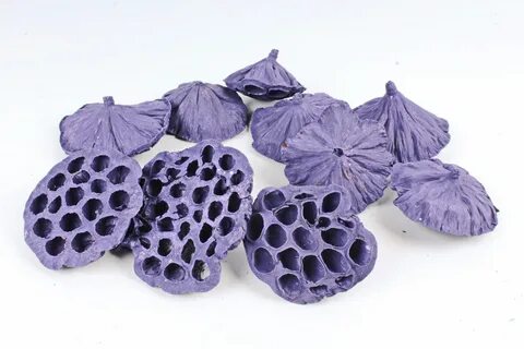 Чашечки лотоса