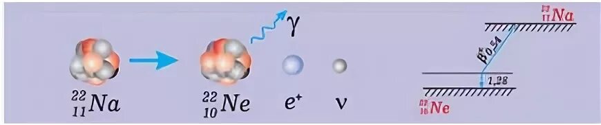 Схема позитронного бета распада. Позитронный бета распад формула. Позитронный Бетта распад. Электронный бета распад. Изотоп натрия 22