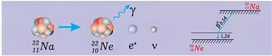 Распад натрия. Схема позитронного бета распада. Позитронный бета распад формула. Позитронный Бетта распад. Электронный бета распад.