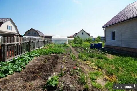Плодопитомник кемерово