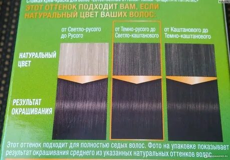 Чем темные отличаются от светлых
