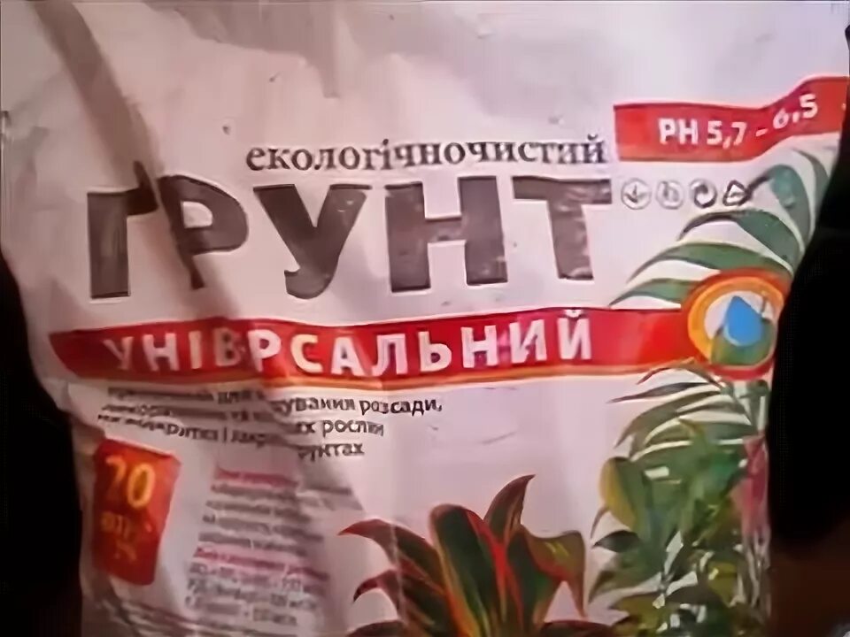 Грунт для кофейного дерева. Грунт для хвойных и домашнее кофейное дерево. грунт для кофейного дерева какой лучше купить. грунт для домашнего лимона дренаж.