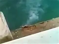Неудачный прыжок человека ракушки