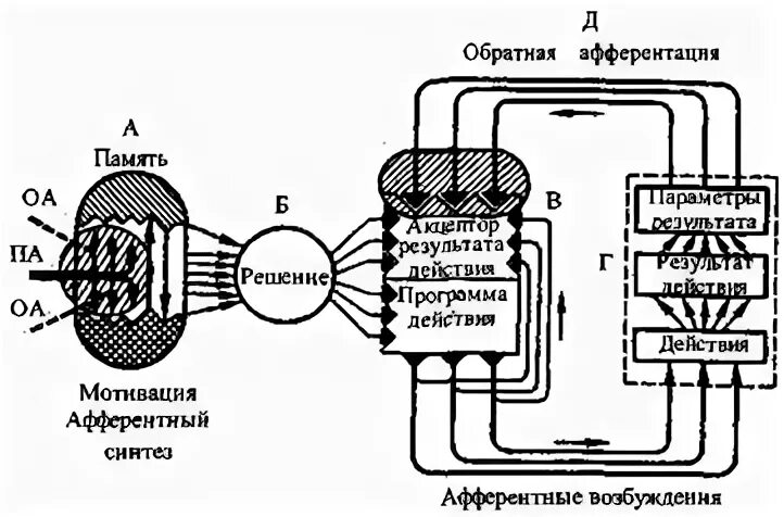 Модификация и память - презентация онлайн