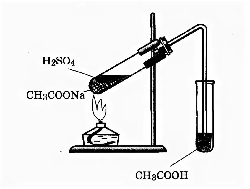 Получение уксусной кислоты из ацетата натрия. Прибор для получения уксусной кислоты в лаборатории. Получение уксусной кислоты рисунок. Получение уксусной кислоты из серной кислоты.